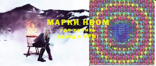 дмт Осташков